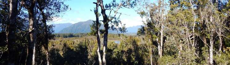 86d Duffers Creek Road Hokitika_13