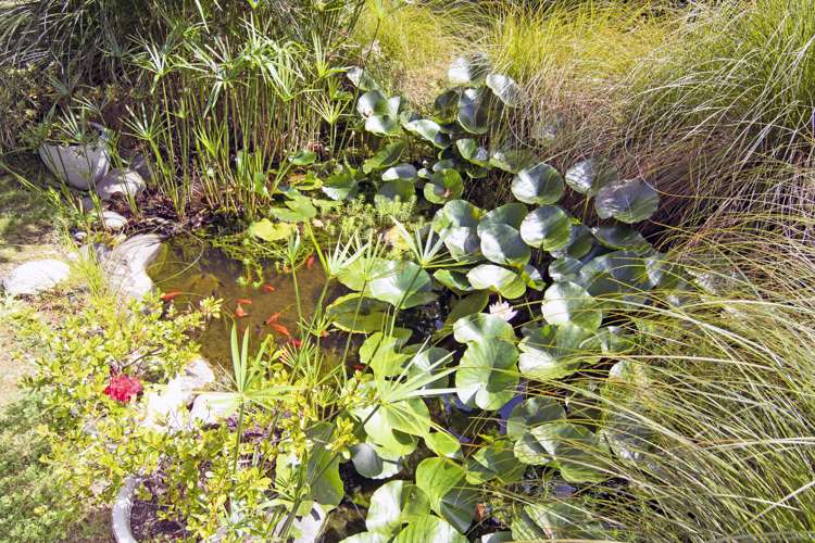 29 Goddard Road Tasman_23