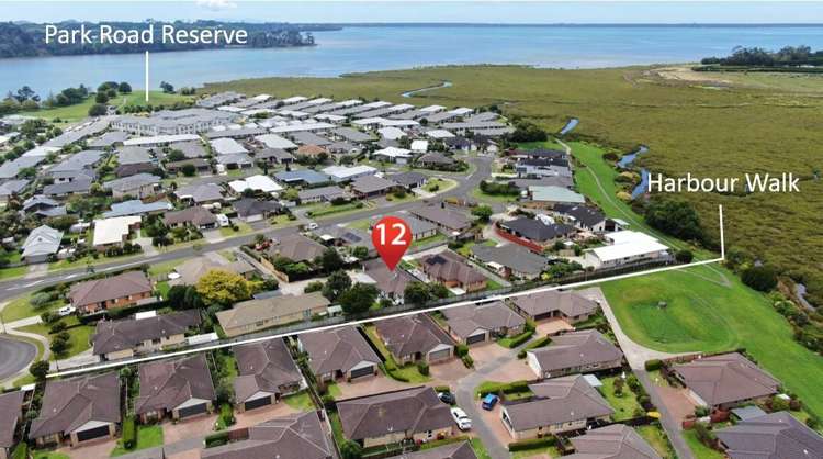 12 Preston Drive Katikati_1
