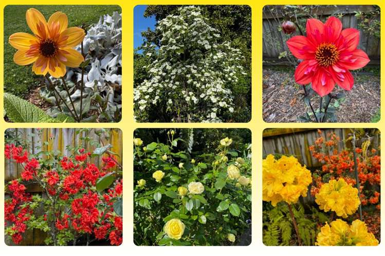 10A Shelton Place Marton_21