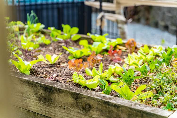 44 Darch Point Road Whangarei Heads_22