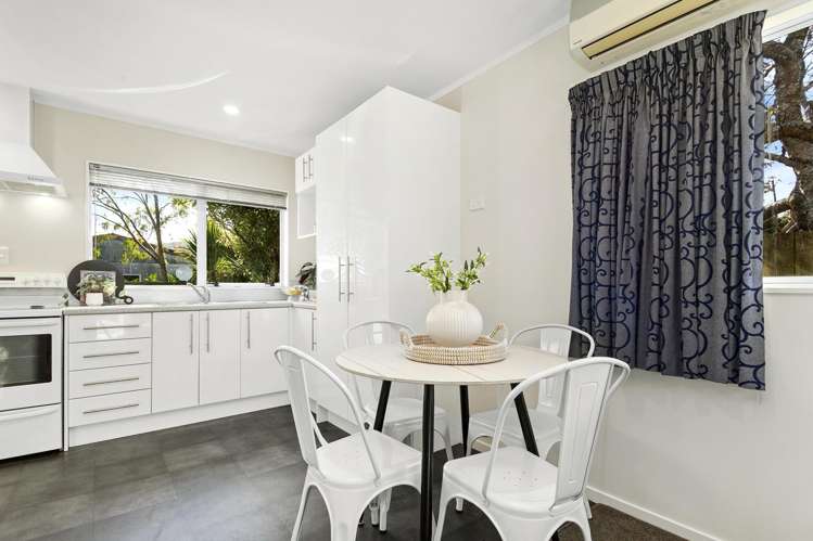 17A Fitzherbert Street_3