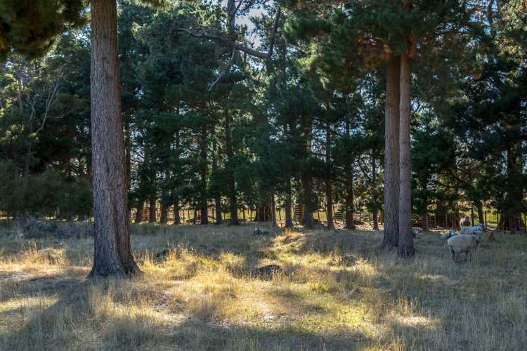 840 State Highway 53 Tauwharenikau_24