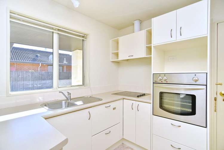 38a Victoria Street Rangiora_6