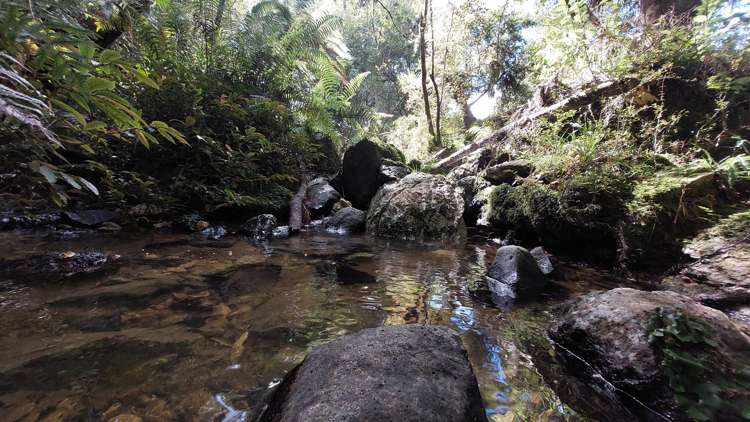 311b Akerama Road Hukerenui and Surrounds_29