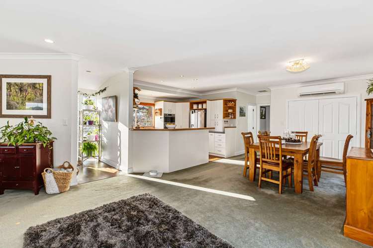 133a Burnside Road Ardmore_7