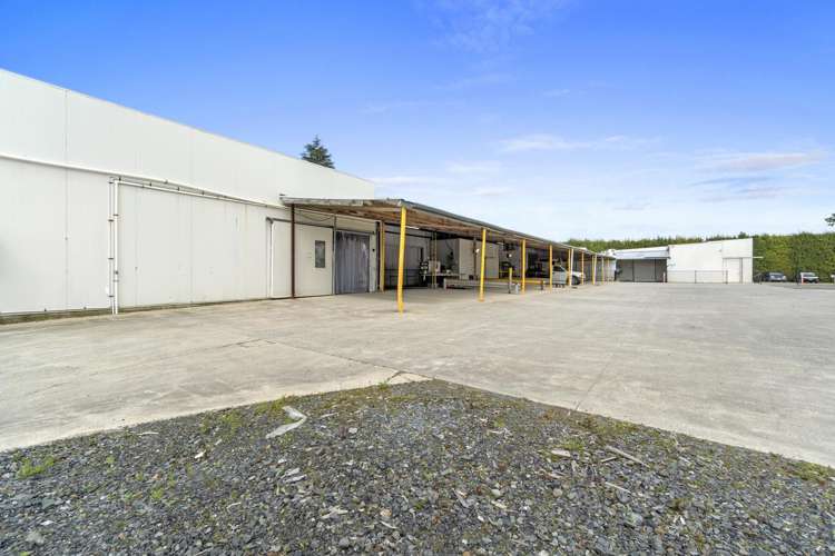 108 Hautapu Road Cambridge_6