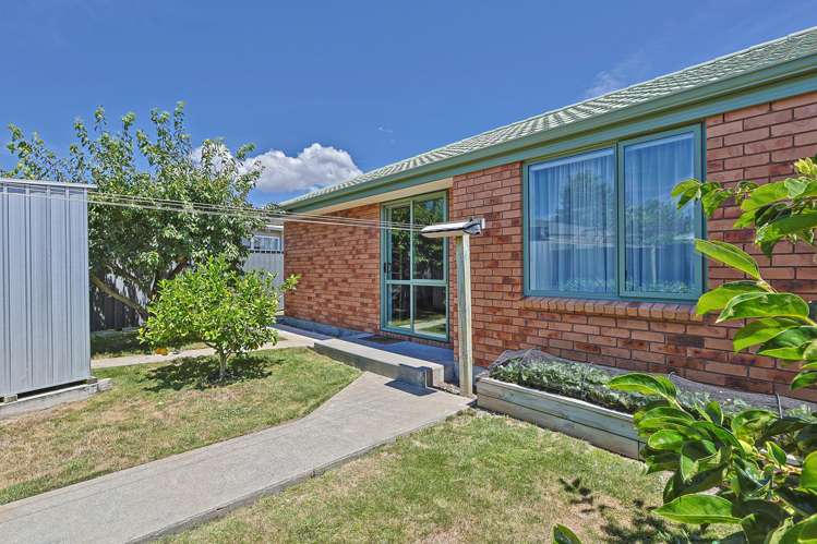 1021 Reka Street Akina_18