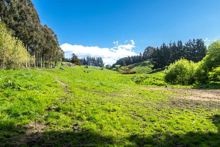 35 Rocky Hundreds Road Fairview_6