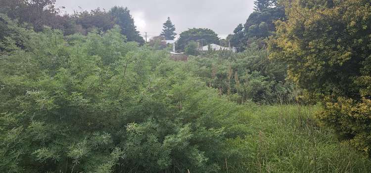 6 Elizabeth Street Patea_10