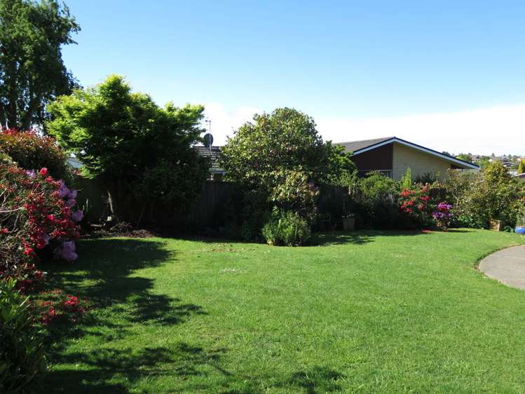 42 Hopkins Street Gleniti_13