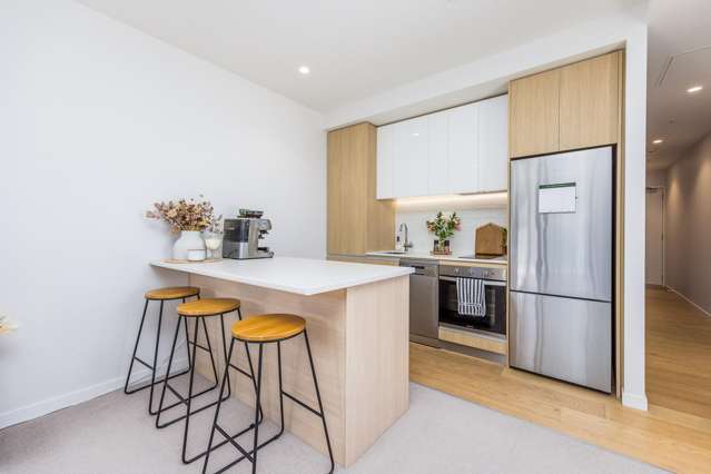 316/43 Edwin Street Mount Eden_4