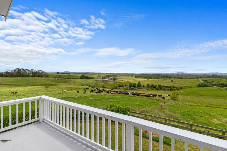 41 Black Road Te Kauwhata_1