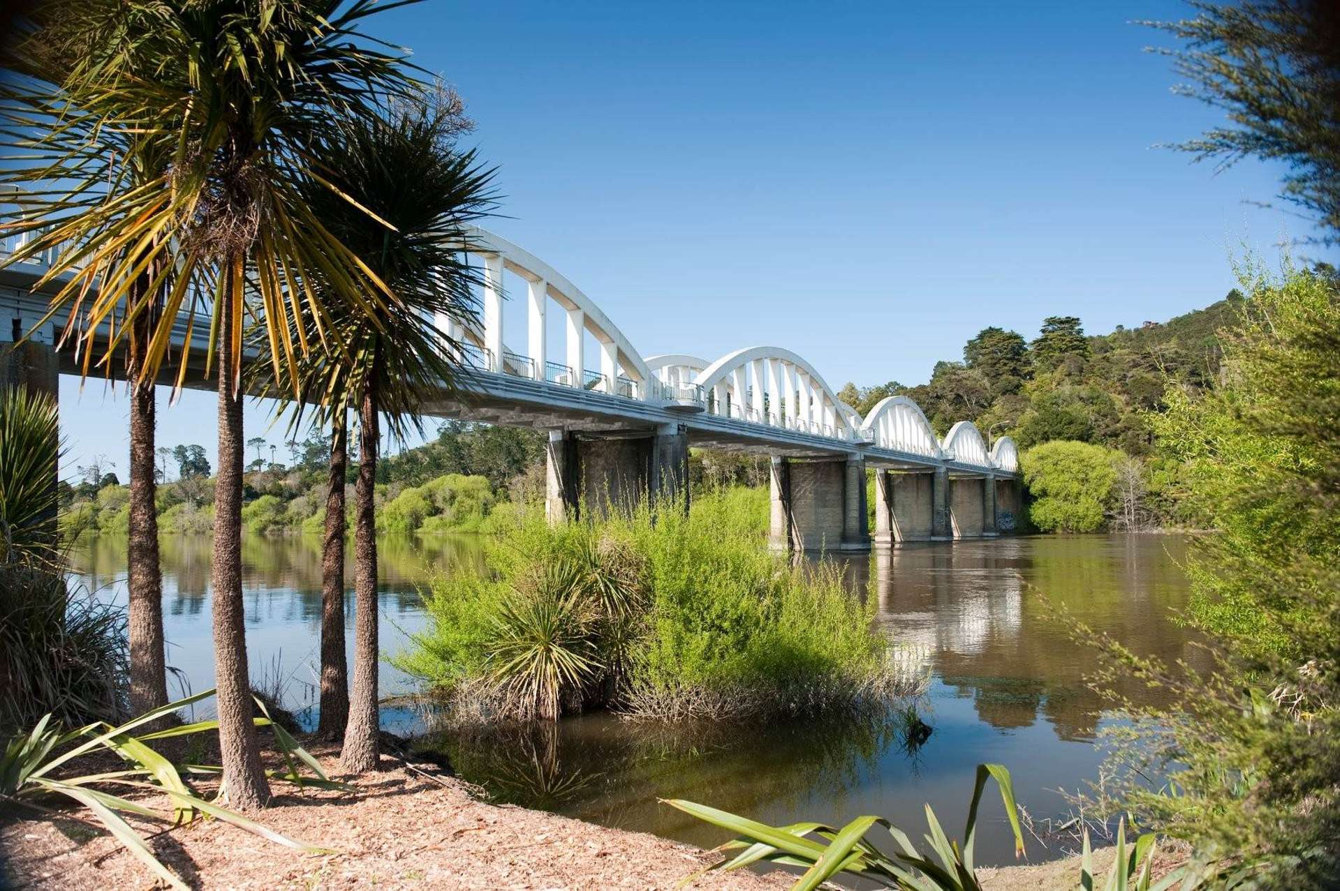 10 Lyn Reta Way Tuakau_0