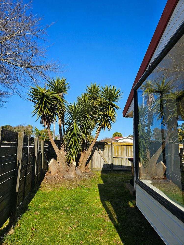 13A Doncaster Drive Papamoa Beach_5