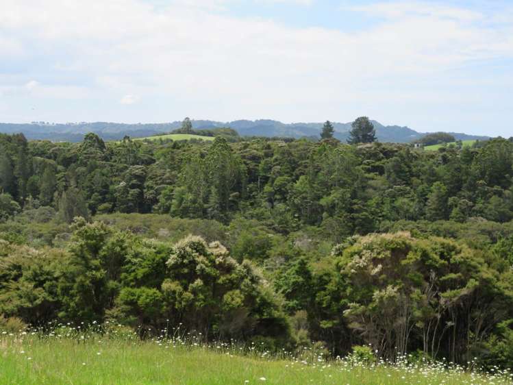 Pataua North Road Pataua_14