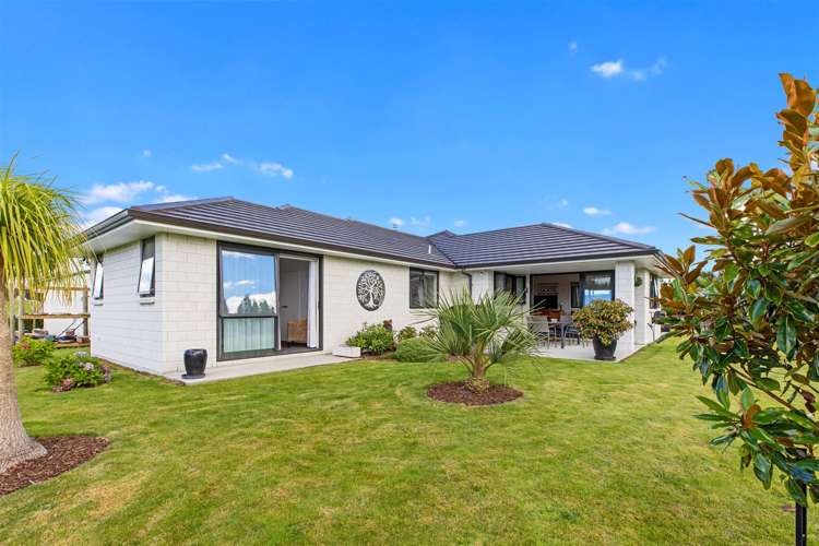 2001 Te Matai Road Kaimai_6