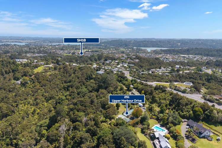 251 Upper Harbour Drive Greenhithe_27