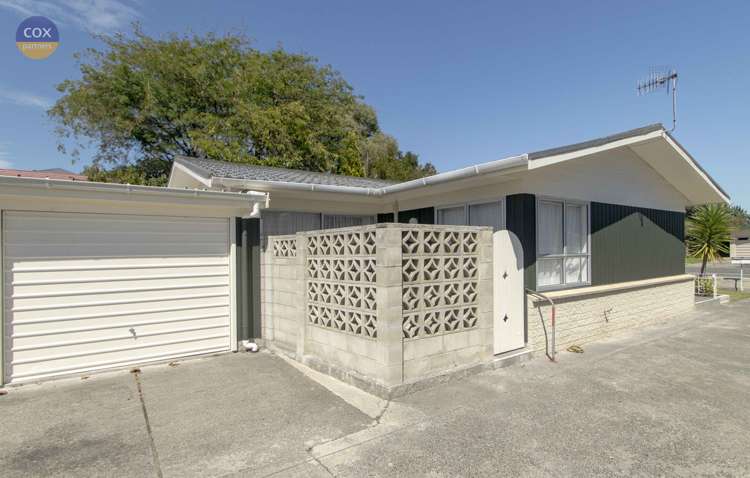 165 Nelson Crescent Napier South_2