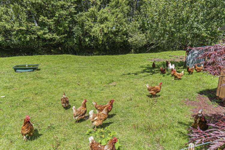 49 Lepper Road Upper Inglewood_25