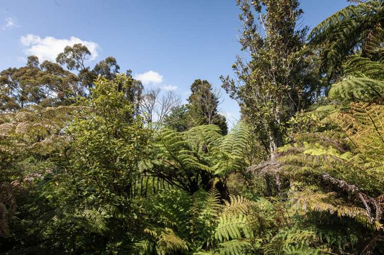 81C Savage Road Waihi_9