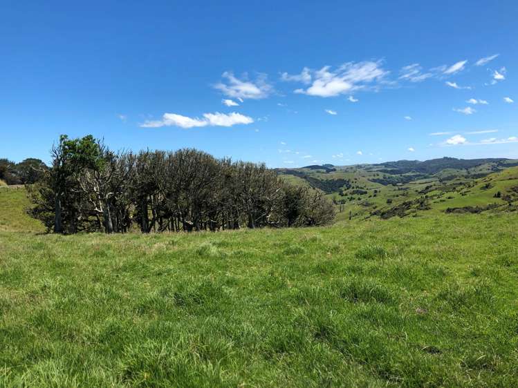 Lot 3 DP539905 Dill Road Kaipara Flats_21