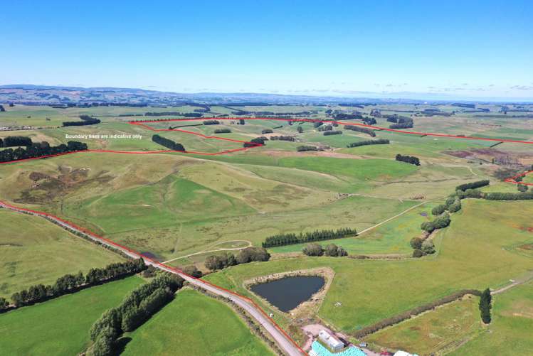1550 Waimumu Road Te Tipua_18
