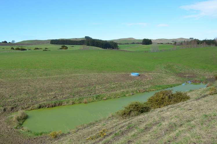 216C Ahiaruhe Road Carterton_6