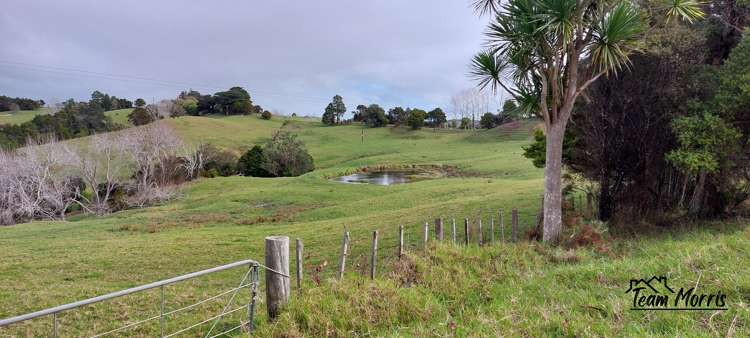 Lot/5 Wearmouth Road Paparoa_0