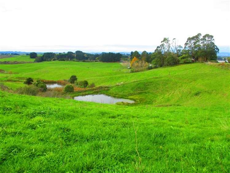 896a Glen Murray Road Rangiriri_8