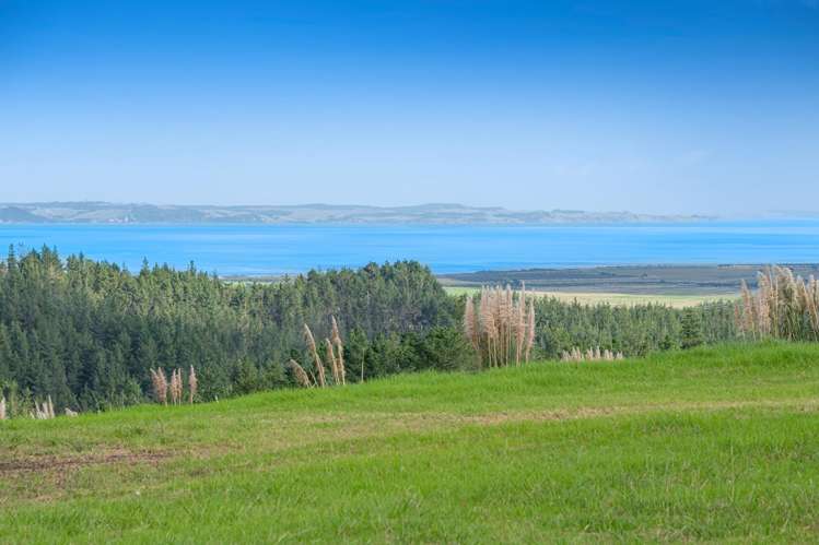 195 Tuhirangi Road Makarau_8