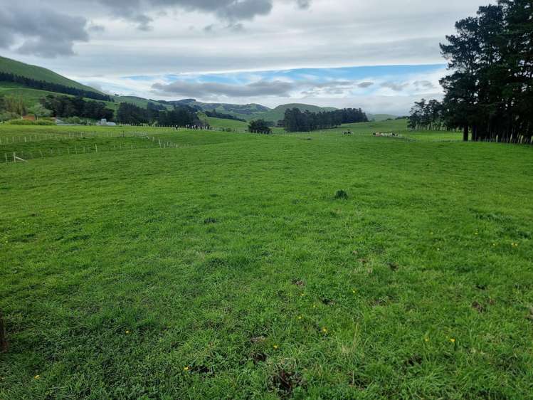 3345A Weber Road Dannevirke_28