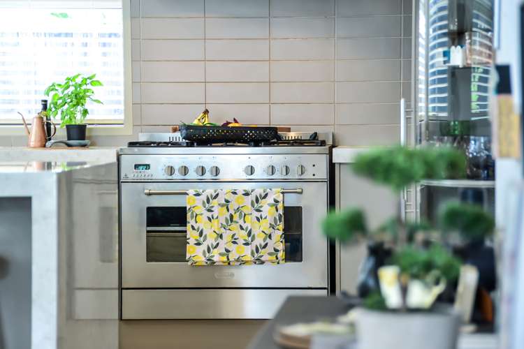 52b Willoughby Street Whitiora_23