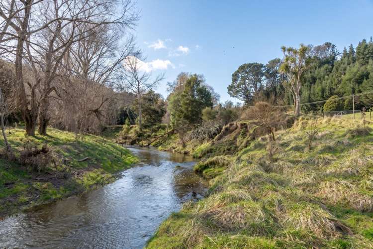 427 Tinui Valley Road Tinui_15