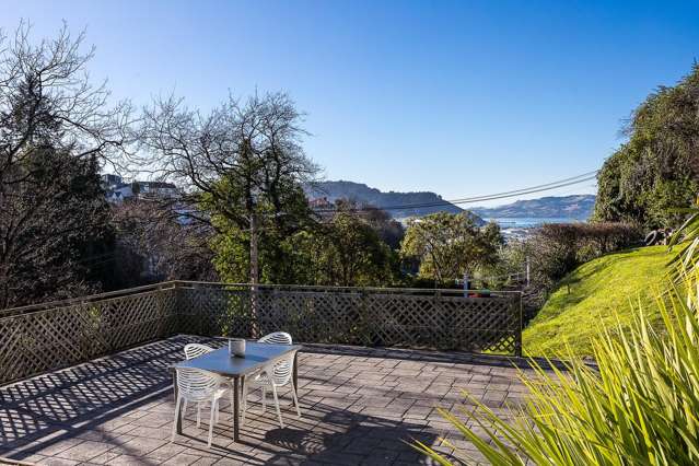 5 Airedale Street Dunedin Central_3