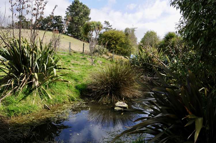 23 Goodwood Road Palmerston_11