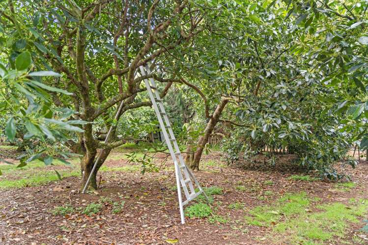 Lot 6 Brenda Gardner Way Maunu_6