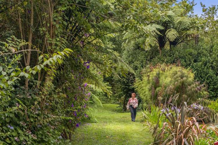 140A Wharawhara Road Katikati_21