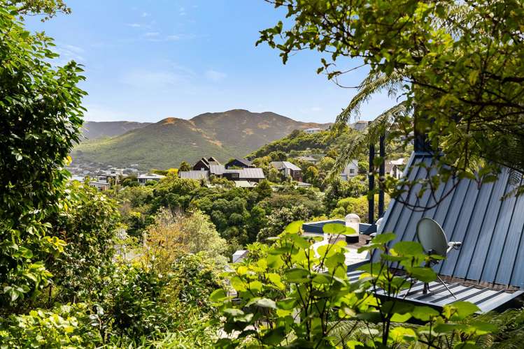 52 Amapur Drive Khandallah_27