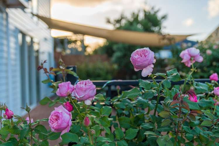 38a Pokapu Street Titirangi_33