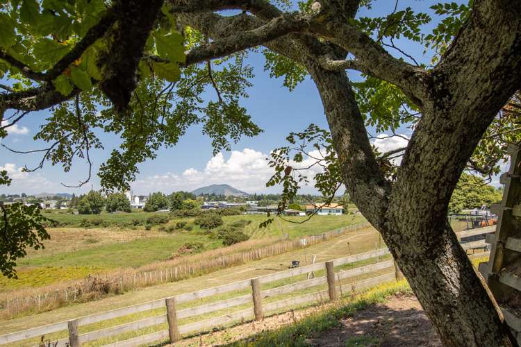 852 Bond Road Te Awamutu_19