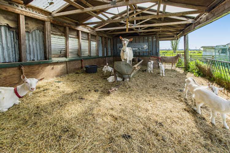 201 Rakaia Selwyn Road Leeston_16