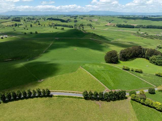 117 Manion Lane Morrinsville_2