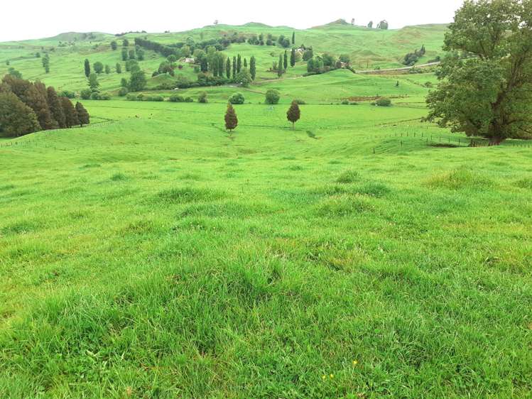 25 Pukenui Road Te Kuiti_9