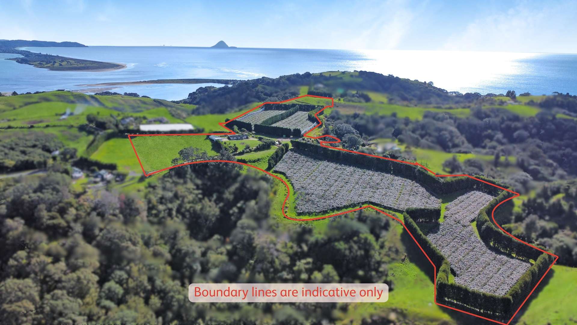 98 Ohiwa Harbour Road Ohiwa Ōpōtiki Rural Property For Sale One