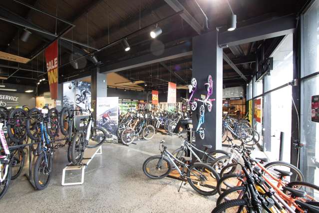 72 Barrys Point Road Takapuna_4