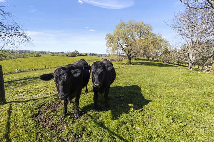 53 Parapara Road Tirau_21