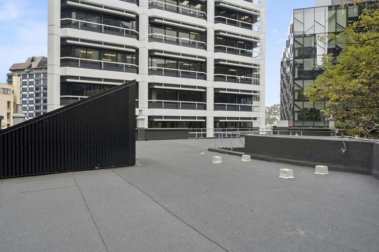 2C/3 Plimmers Steps Wellington Central_22