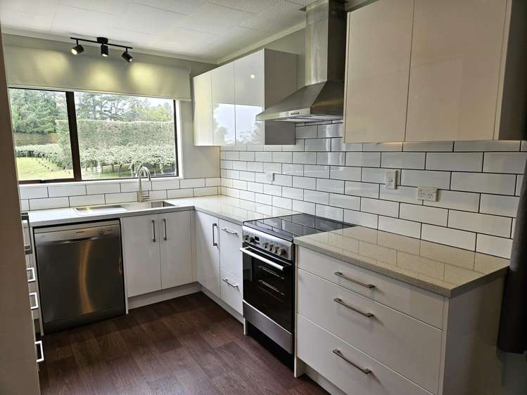 1395 No 3 Road Te Puke_3