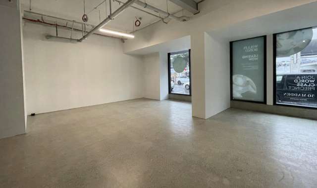 G03/155 Beaumont Street Auckland_2